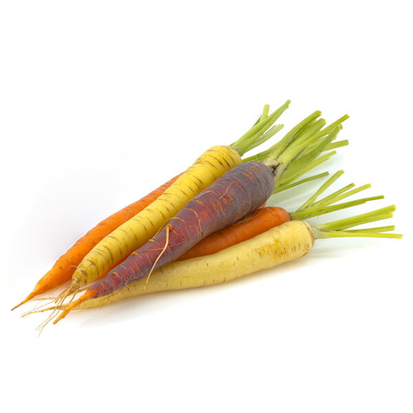 Pfälzer farbig