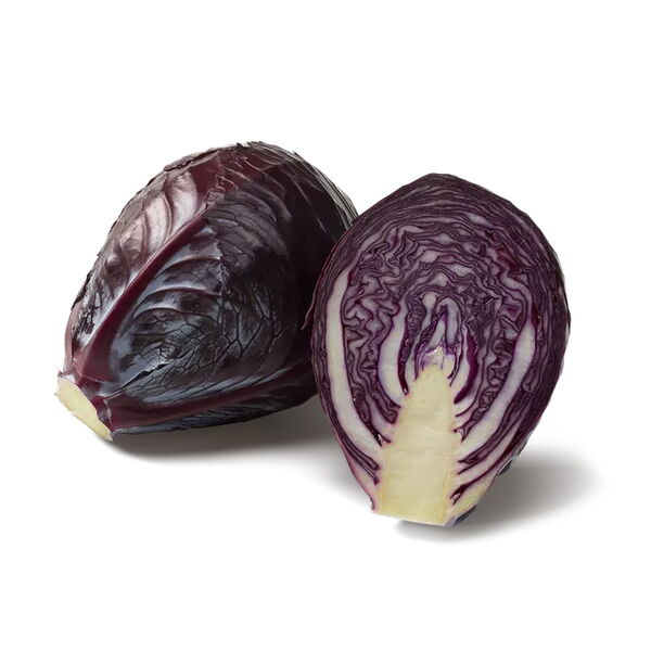 Rotkabis