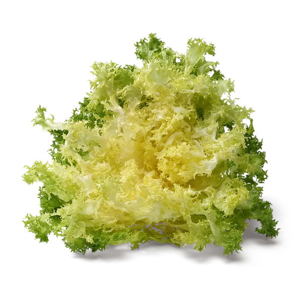 Frisée