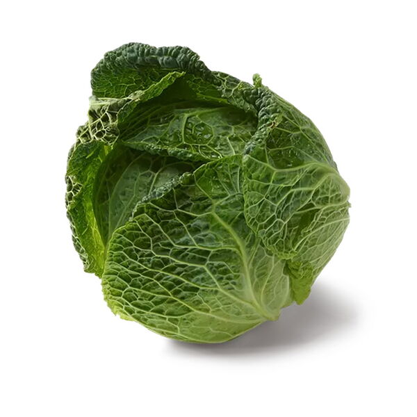 Wirz